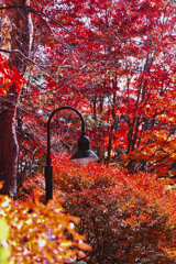 Yatsugadake club at 12:30 Nov,3 2025