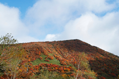 mt.cyausu at 9:13-2 Oct,20 2024