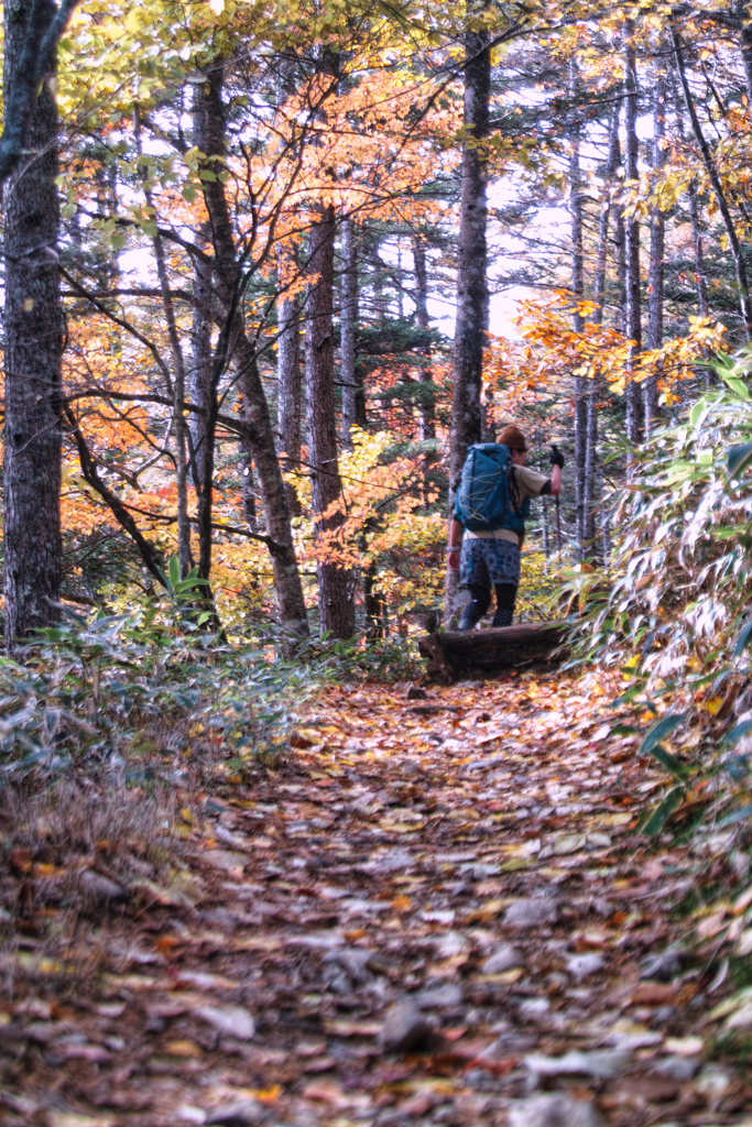 mt.nyuukasayama at 11:03 Nov,2 2025