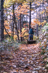 mt.nyuukasayama at 11:03 Nov,2 2025