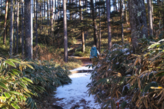 mt.nyukasayama at 8:51 Dec,19 2025
