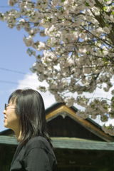 Road station of tsumagoi at 13:39 May,4 