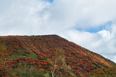 mt.cyausu at 9:12 Oct,20 2024