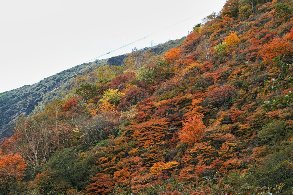 mt.cyausu at 9:40 Oct,20 2024