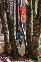 mt.yokoosan at 9:28 Nov,1 2025