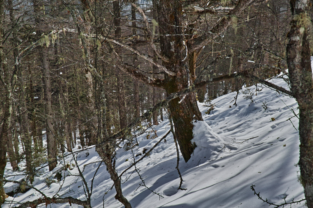 back trailhead on the way