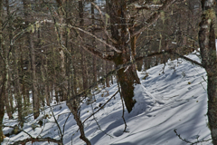 back trailhead on the way