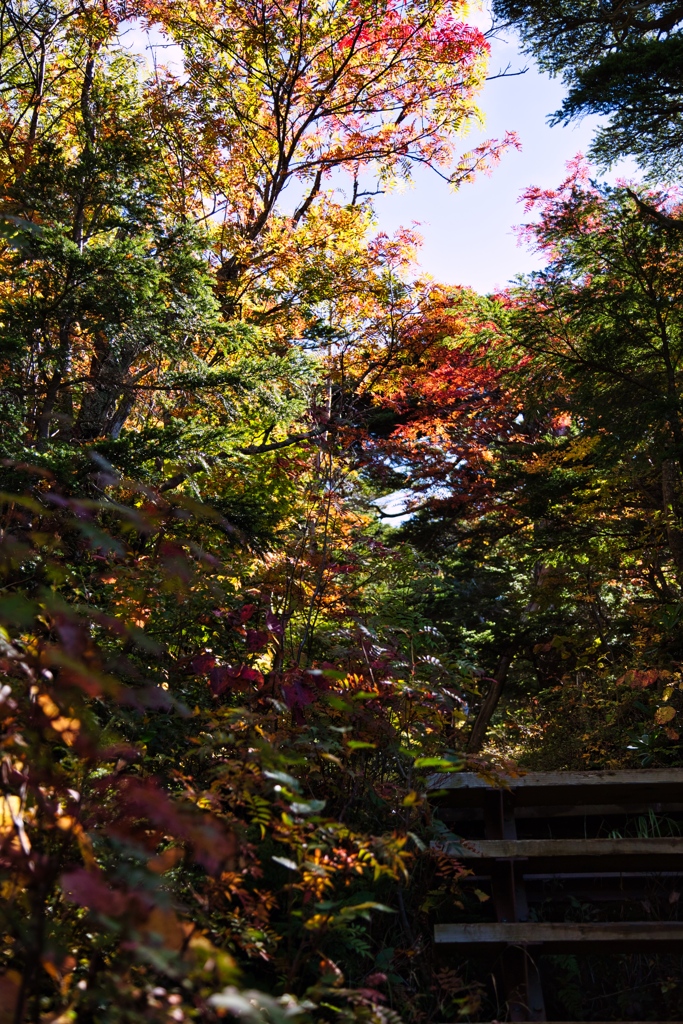 mt.ontake at 9:50 Oct.11 2024