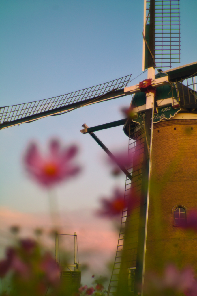 wind mill with cosmos at 5:27 2,Oct 2022