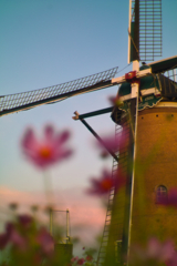 wind mill with cosmos at 5:27 2,Oct 2022