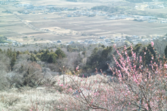 “baien”at 15:02 Feb,28 2026 in mt.tsukub