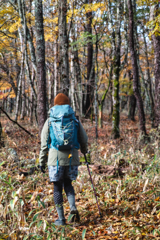 mt.yokoosan at 9:09 Nov,1 2025