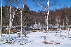 mt.nyukasayama at 12:50 Dec,19 2025