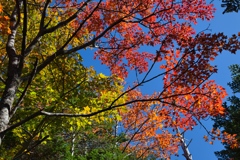 mt.ontake at 10:01 Oct.11 2024