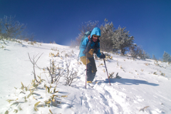 mt.yunomaruyama at 11:43 Jan,16 2026