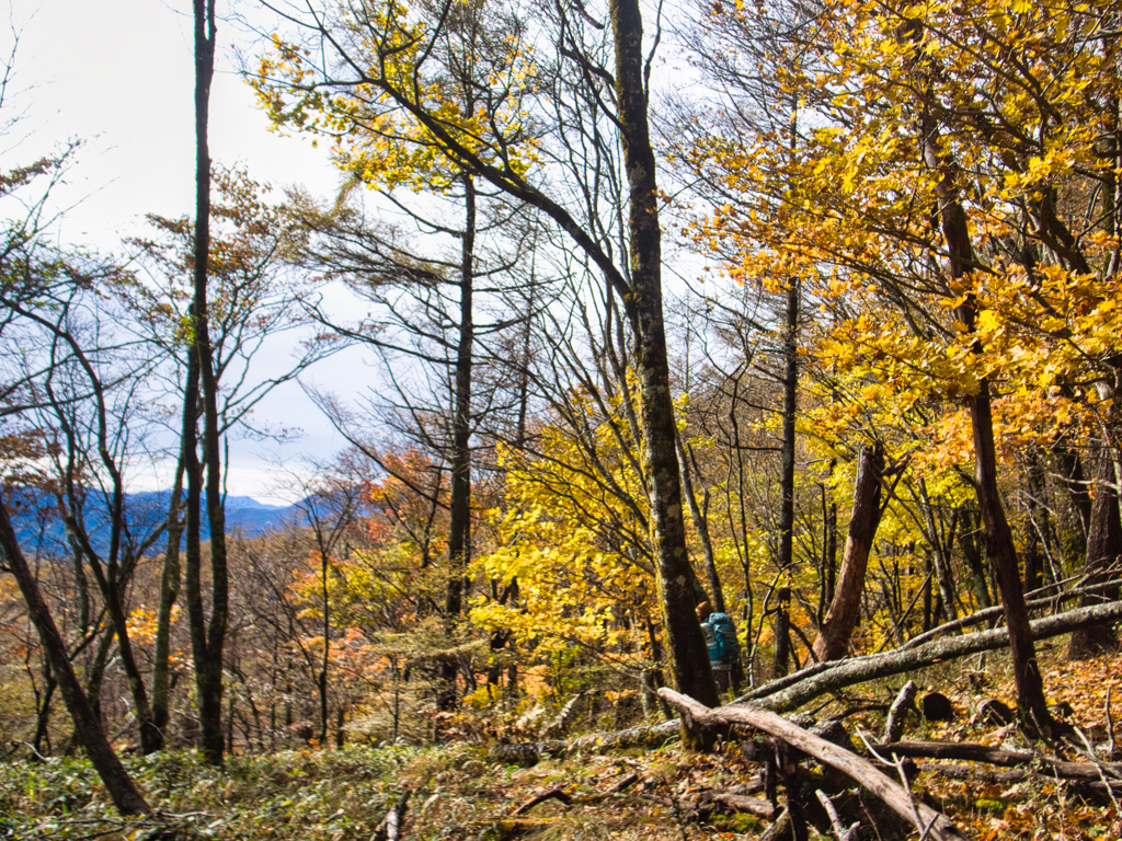 mt.yokoosan at 9-40 Nov,2025(GRD 1st)