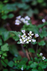 mt.tsukuba at 8:33 Apr,19 2025