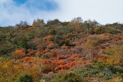 mt.cyausu at 11:07 Oct,20 2024