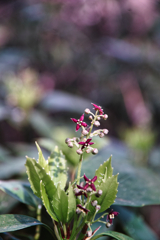 mt.tsukuba at 8:26 Apr,19 2025