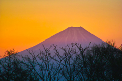 mt.fuji at 6:59 13,Jan 2023 in kobuchiza