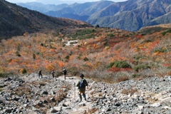 mt.cyausu at 12:59 Oct,20 2024