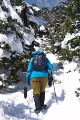 kitayoko at 10:32 Mar,15 2024