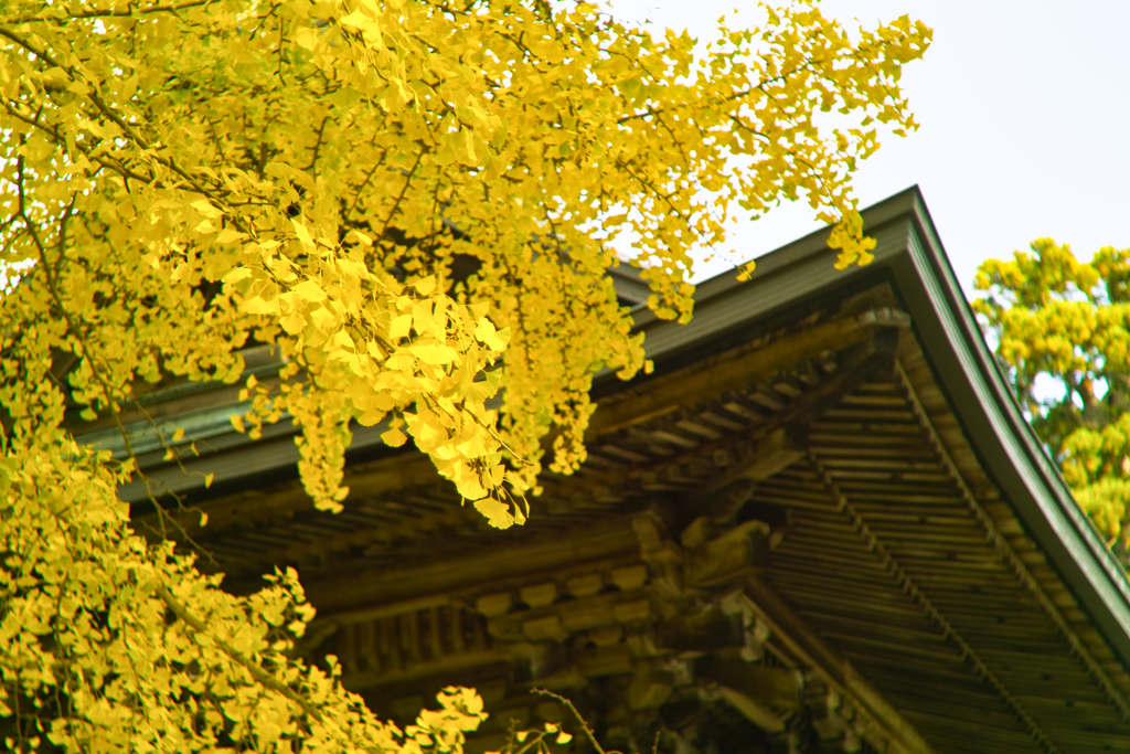 Mt.Tsukuba by aus jena