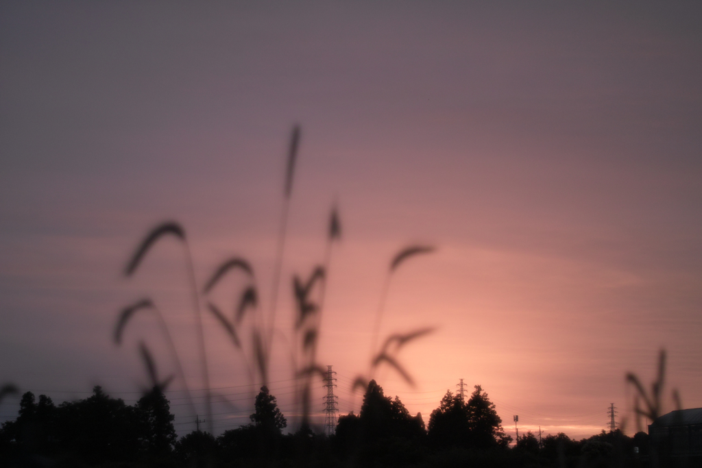 sunrise&set special feature