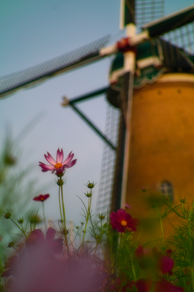 cosmos with wind mill at 5:28 2,Oct 2022