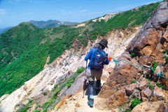 mt.cyausu at 10:08 Jun,15 2024