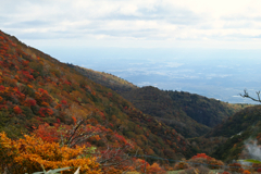 mt.cyausu at 9:38 Oct,20 2024