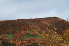 mt.cyausu at 10:40 Oct,20 2024