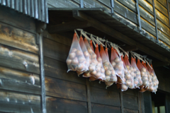 naraijyuku at 14:47 Oct,13 2024