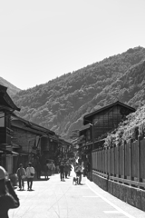 naraijyuku at 13:28 Oct,13 2024