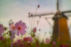 cosmos with wind mill at 5:55 2,Oct 2022