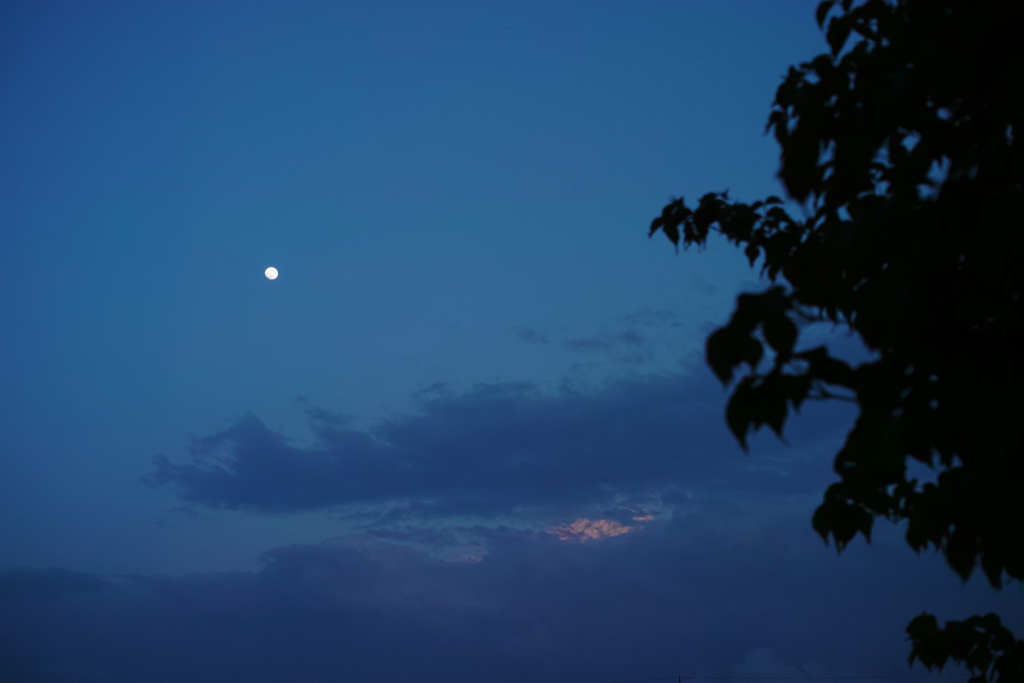 eary morning at 25,Apr 2021