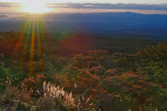 lover's sanctuary at 6:07 Oct,21 2024