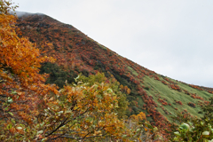 mt.cyausu at 9:51 Oct,20 2024