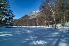 mt.yunomaruyama at 9:11 Jan,16 2026