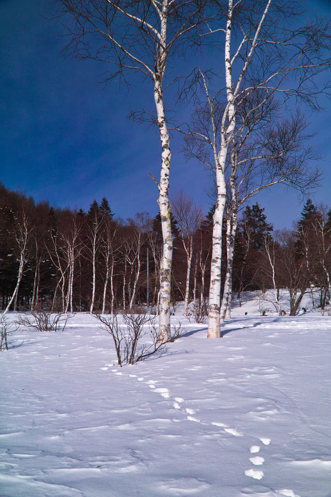 mt.nyukasa