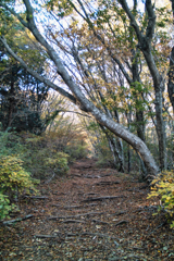 mt.tsukubasan at 8:13 Nov,8 2025