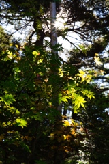 mt.ontake at 9:37 Oct.11 2024