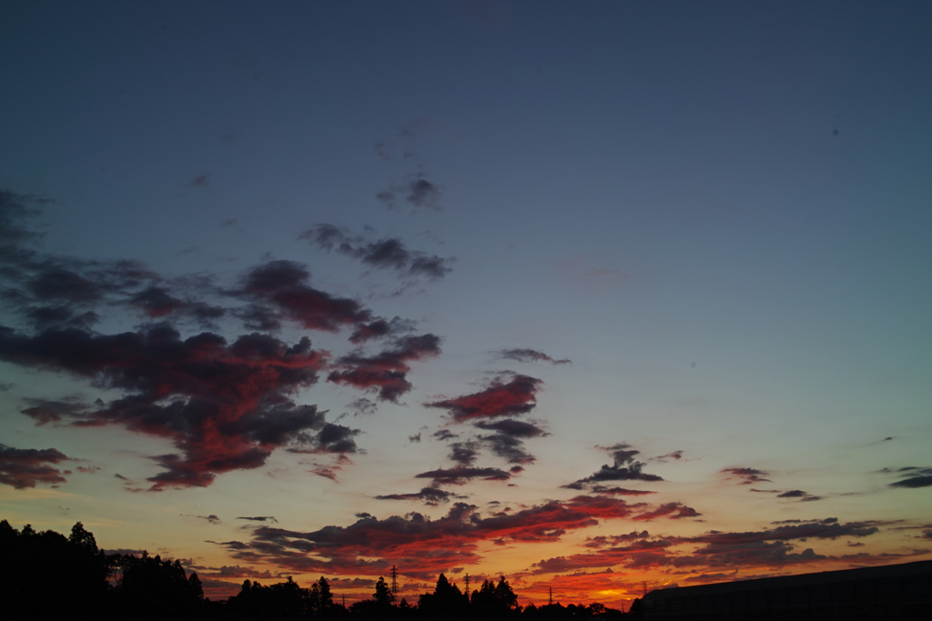 eary mornig at 4:48 11,Aug 2021