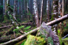 on the way to takamiishi hutte