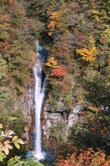 water fall of komadome at 10:29 Oct,21 2