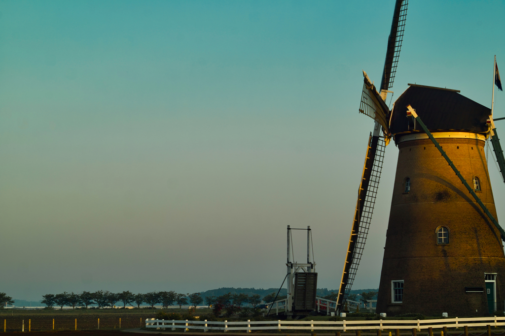 venus belt & wind mill