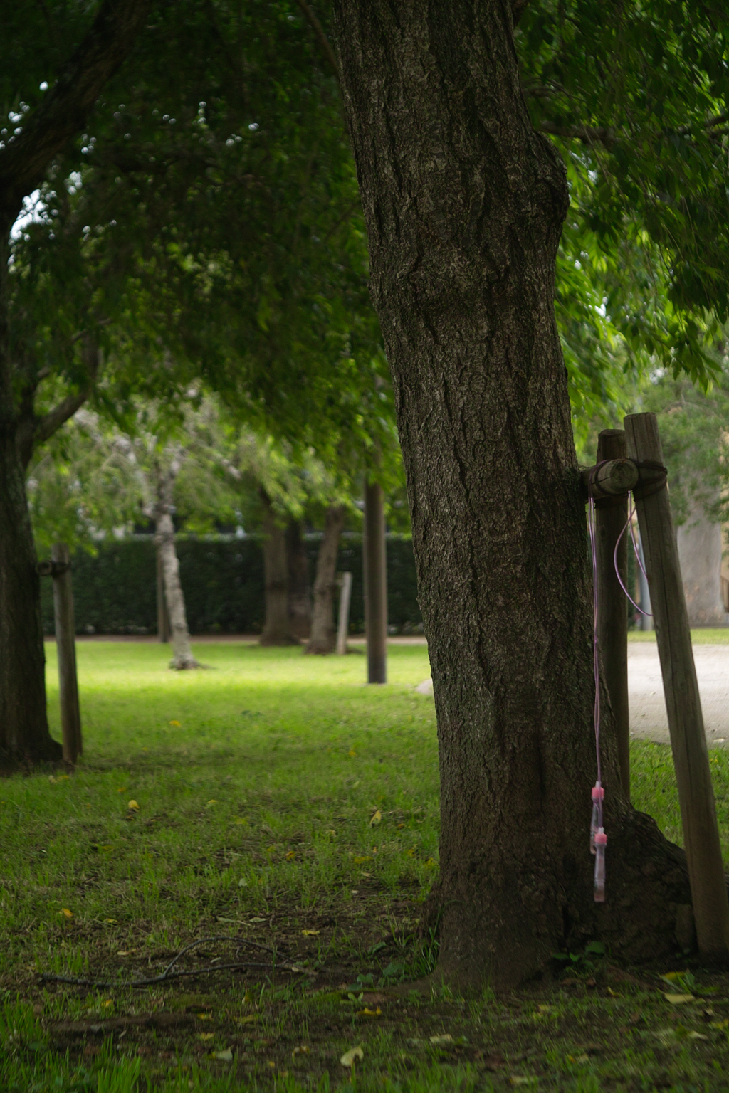 forgotten slipping rope