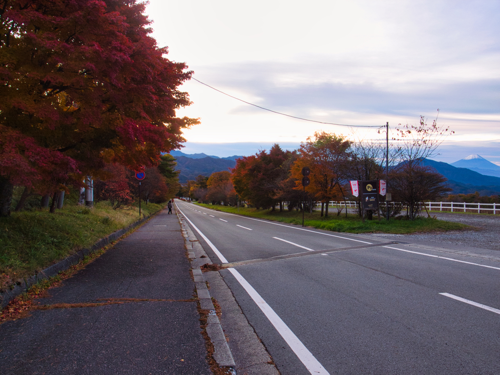 seisenryou at 6-26 Nov,2 2025(GRD)