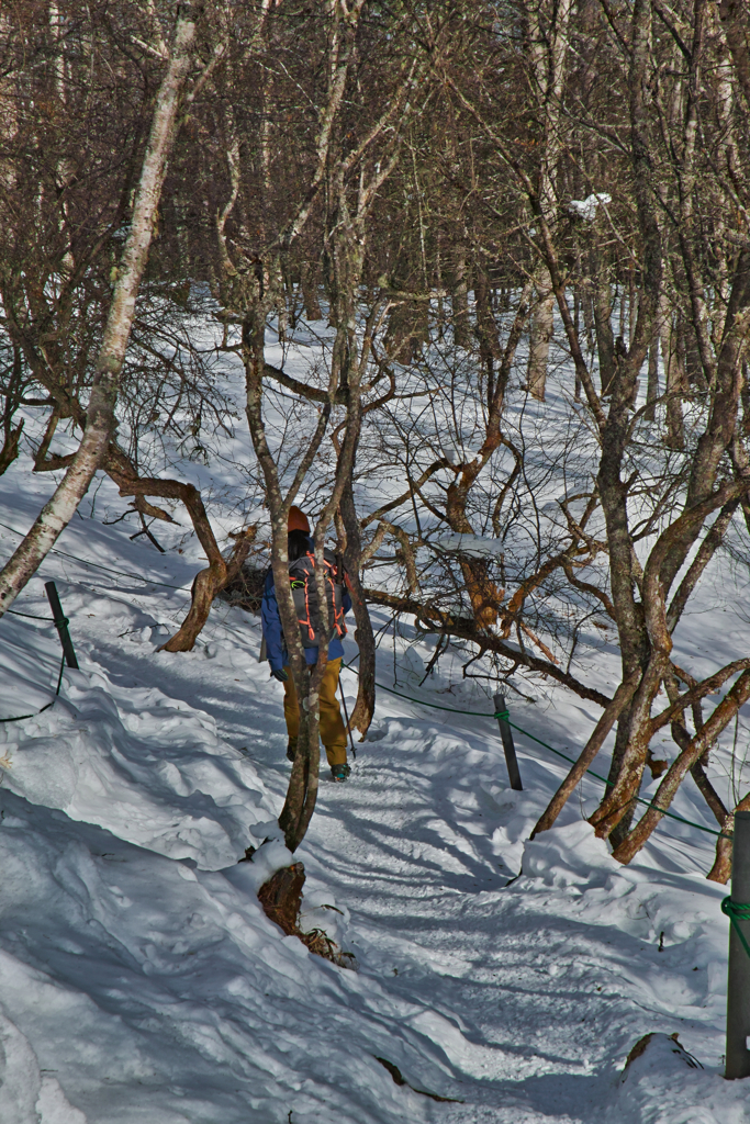 back trailhead on the way