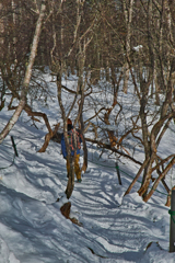 back trailhead on the way